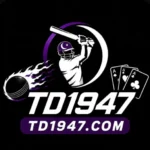 TD1947 Game